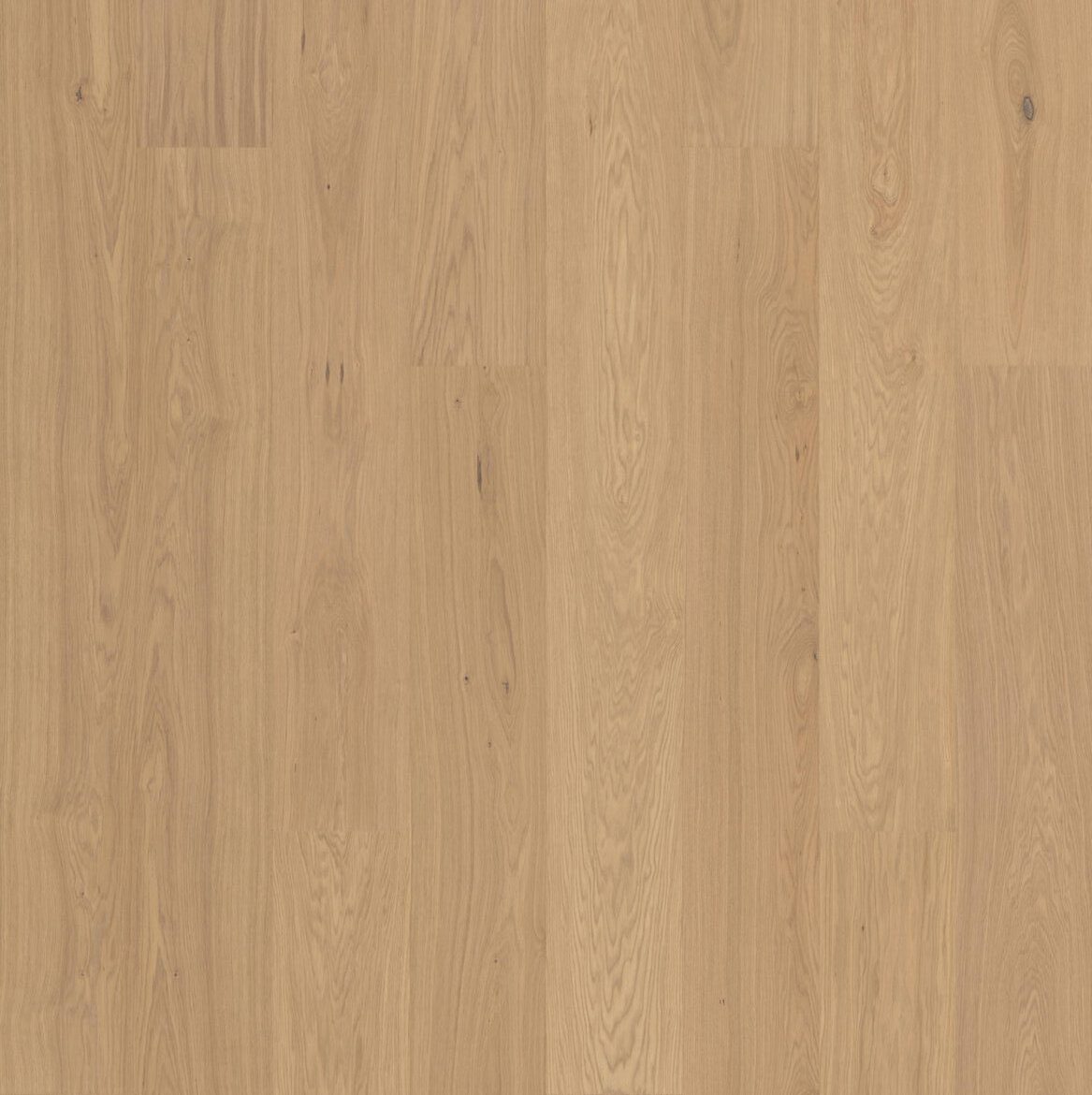 Bjelin herdet tregulv Hoja 3.0 XXL