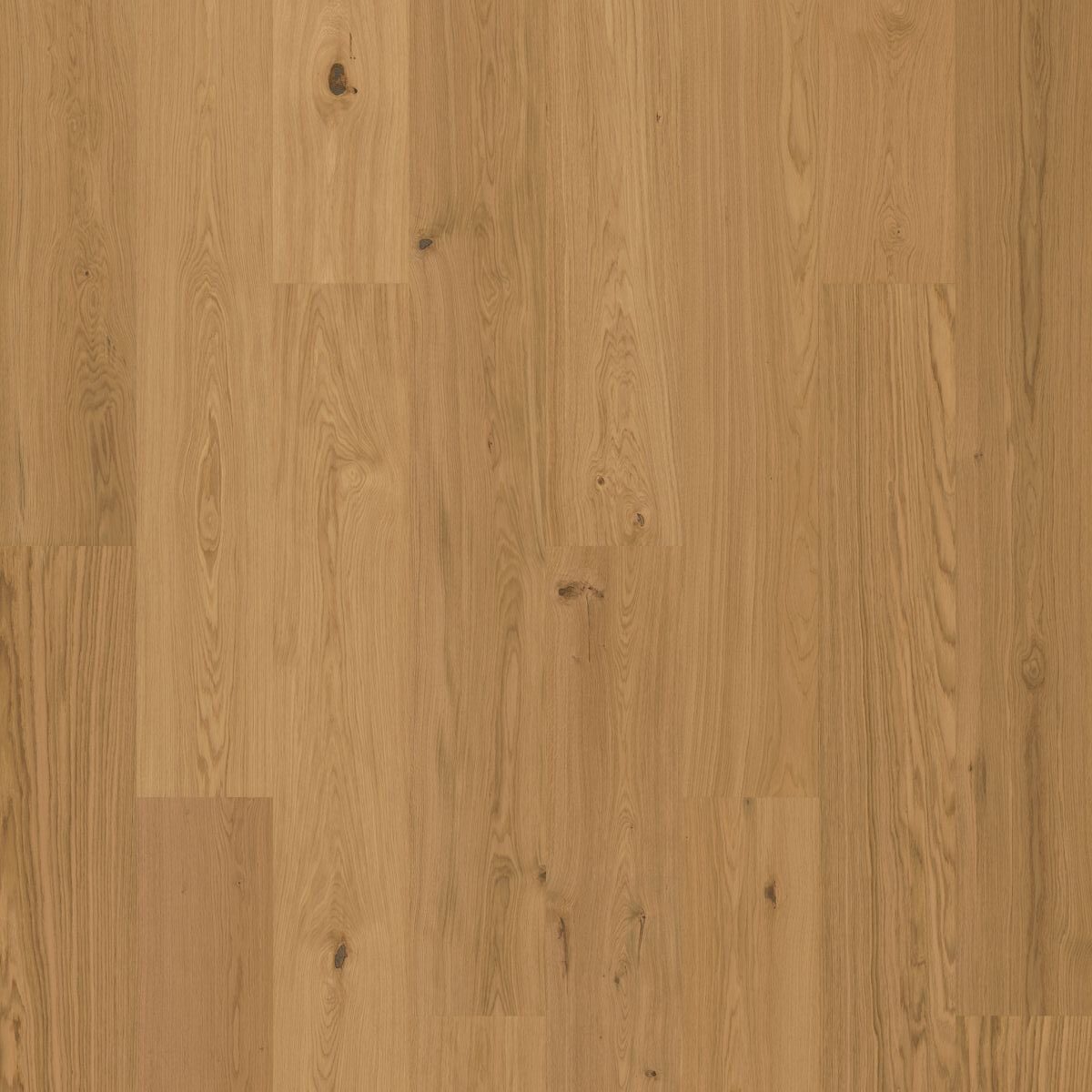 Bjelin herdet tregulv Eket 3.0 XXL