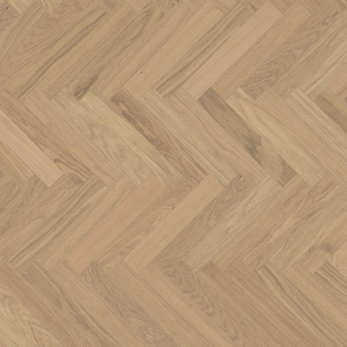 Herdet tregulv fiskeben bjelin sigtuna 3.0 Modern