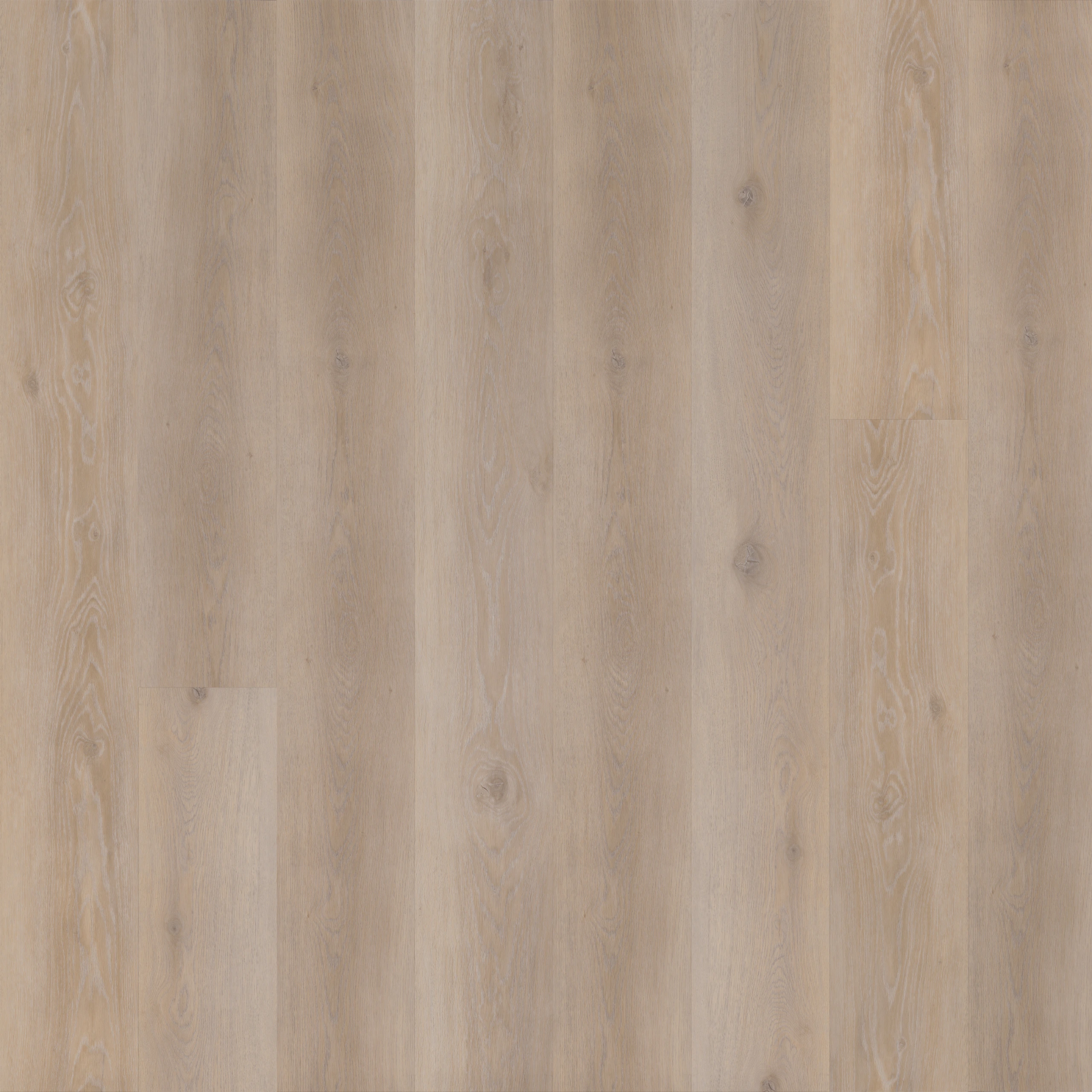 Korkvinyl MOSE Elements Shore
