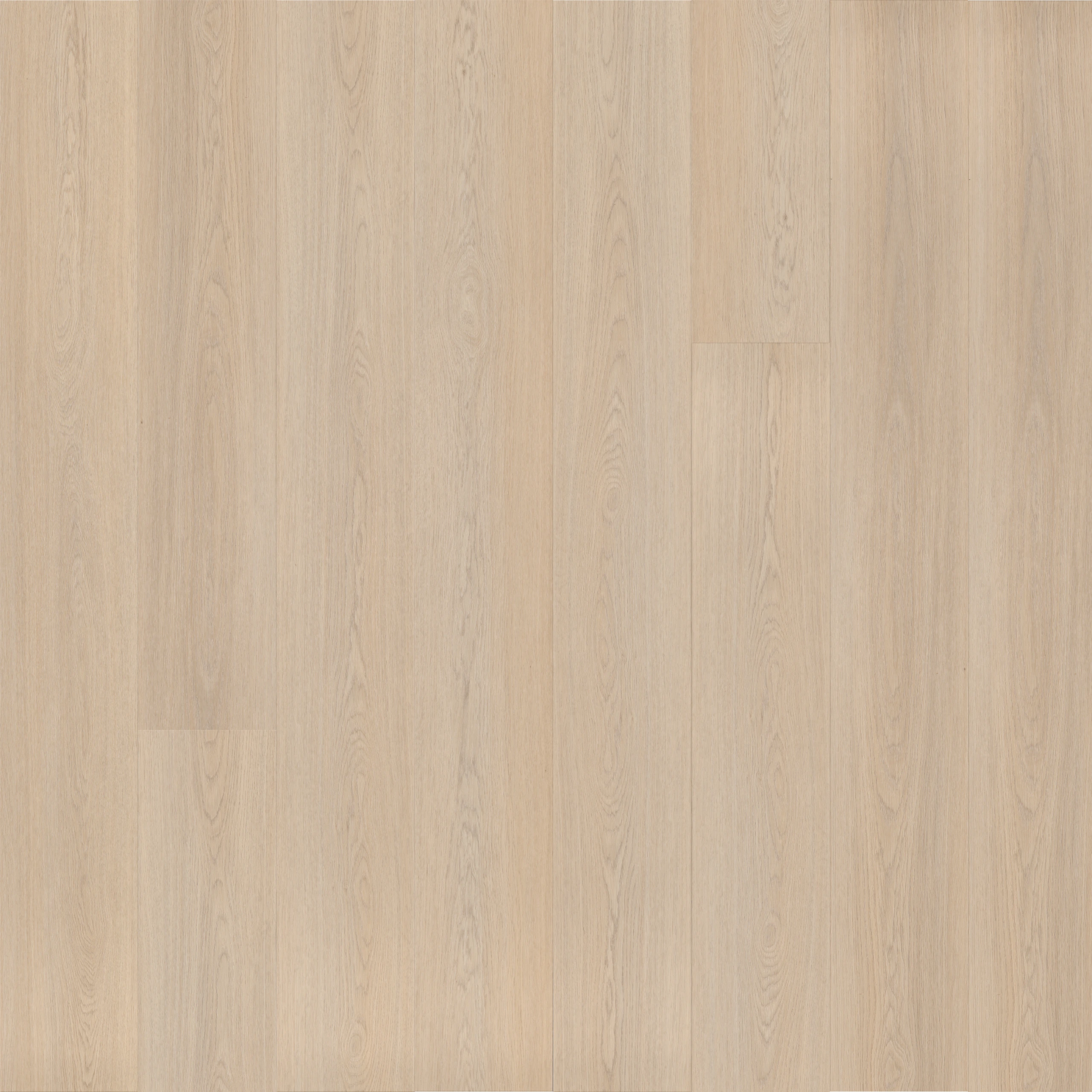 Korkvinyl MOSE Essence Umbra