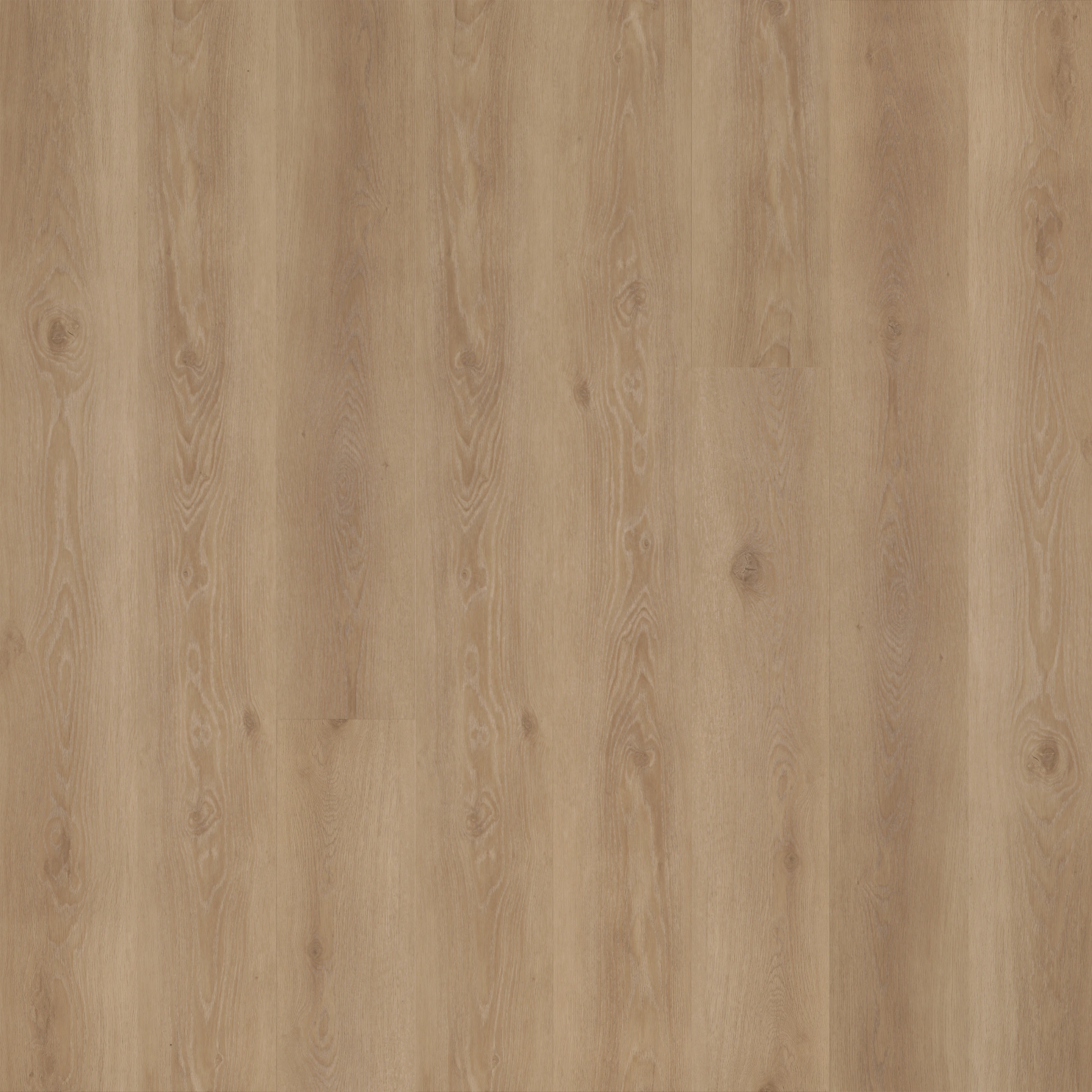 Korkvinyl MOSE Elements Nest