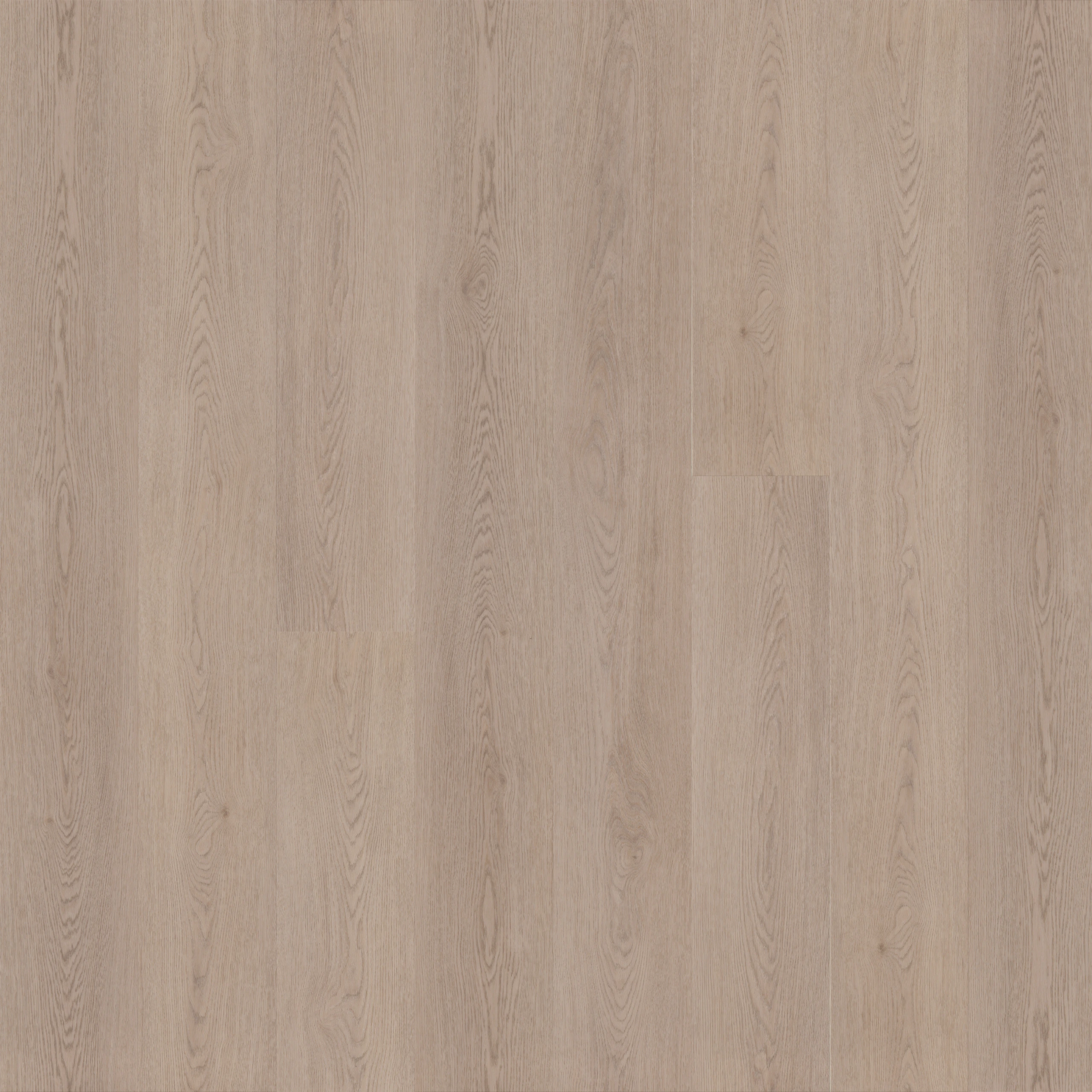 Korkvinyl MOSE Aura Seren 14mm