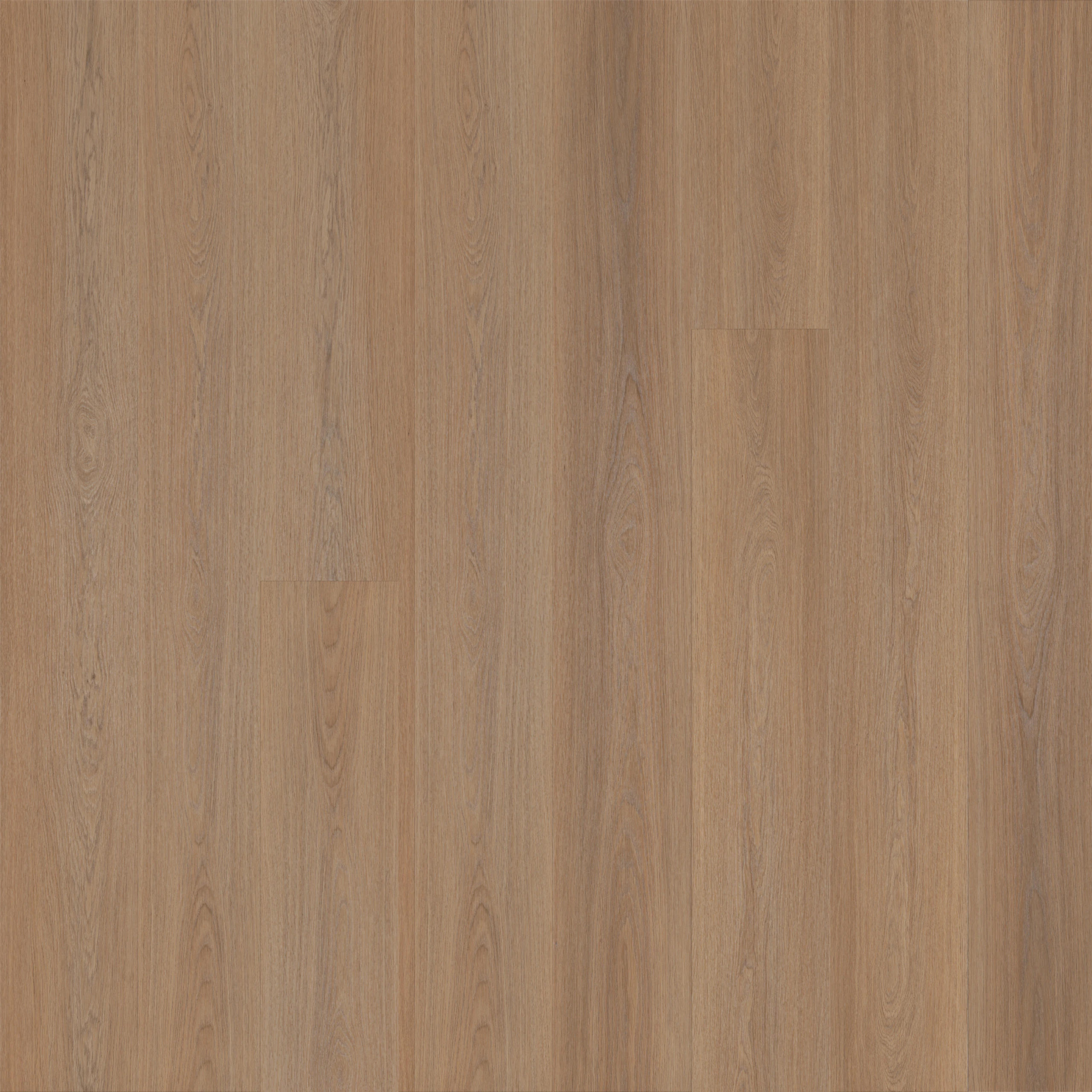 Korkvinyl MOSE Essence Onyx