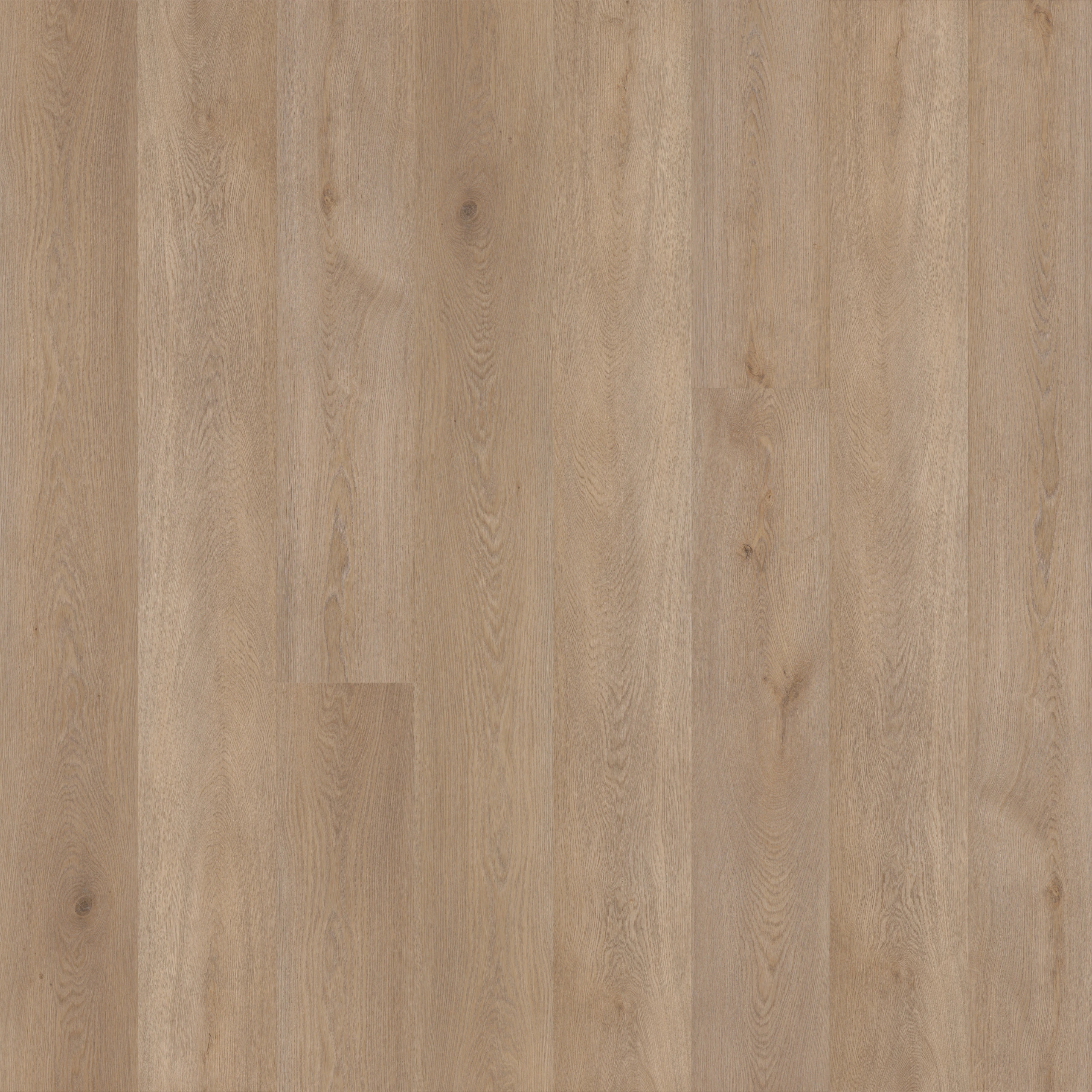 Korkvinyl MOSE Elements Ridge