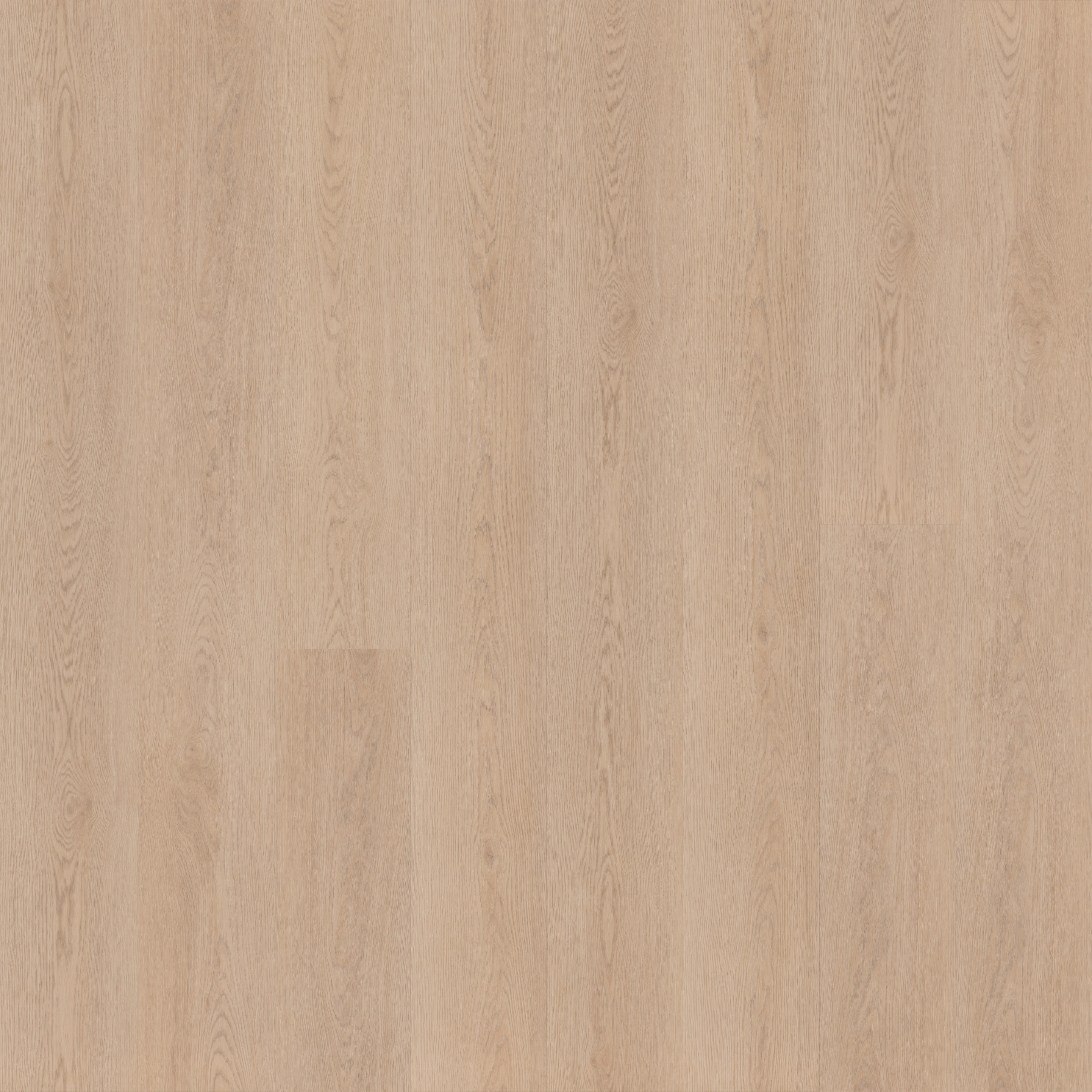 Korkvinyl MOSE Aura Strato 14mm